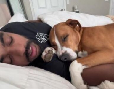 un cane con il proprietario
