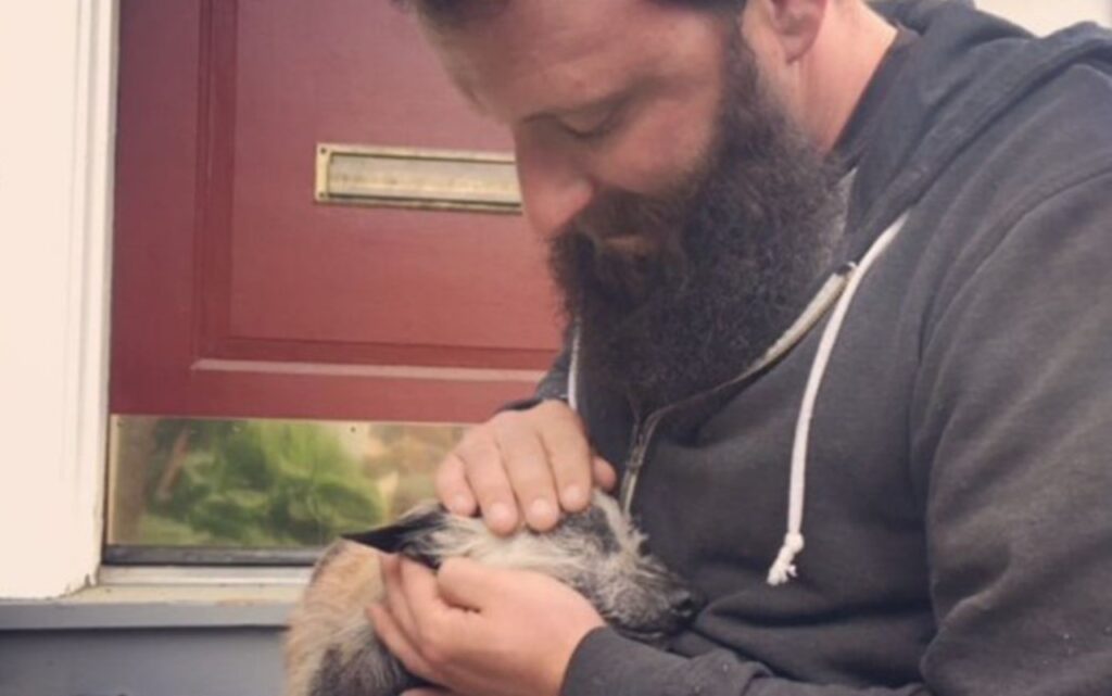 Cane chiede aiuto in una strada di campagna