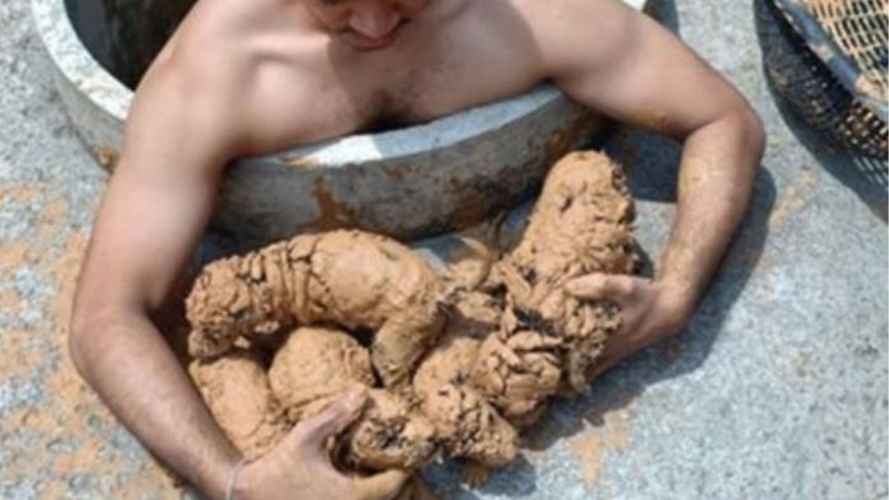 Dei cagnolini ricoperti di fango