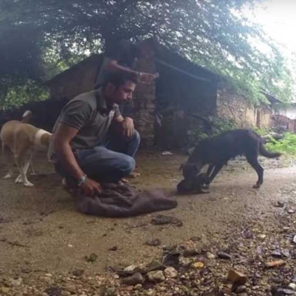 Madre e cucciolo si ricongiungono