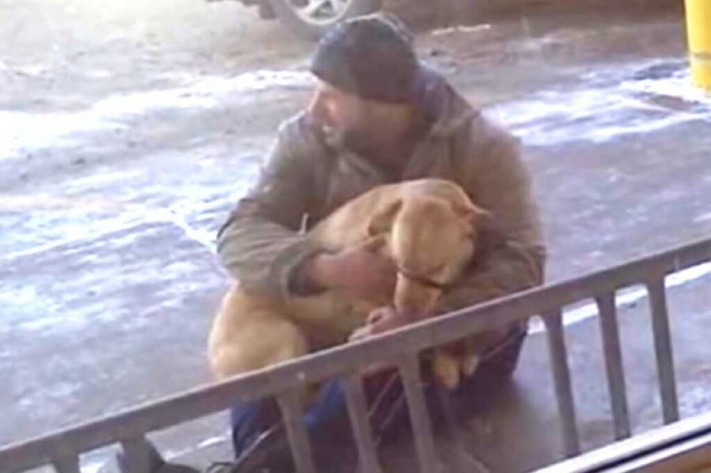 cane al freddo soccorso da un passante