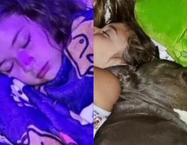 bambina nel letto con il suo cane