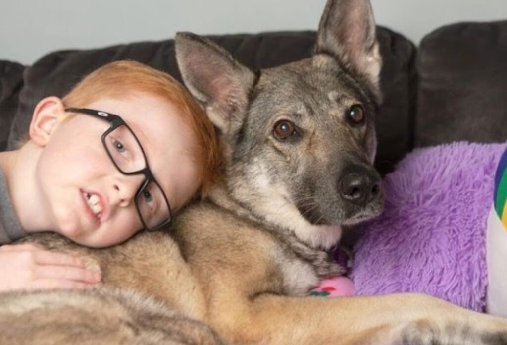 cane con la sua nuova famiglia