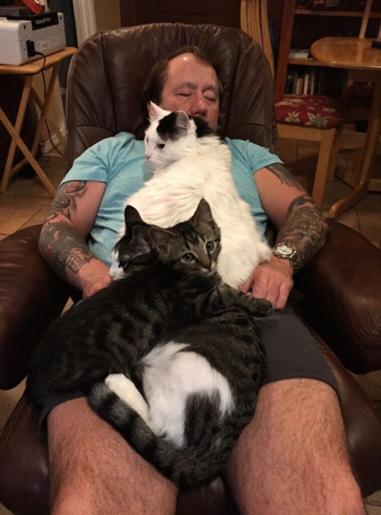 gatti con il proprio padrone