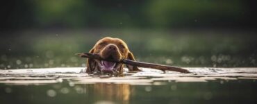 4 consigli acqua