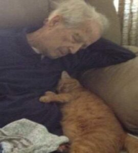 4 gatti nonno