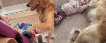 Bambina disabile gioca con il suo cagnolino