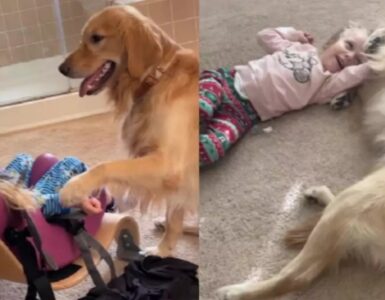Bambina disabile gioca con il suo cagnolino