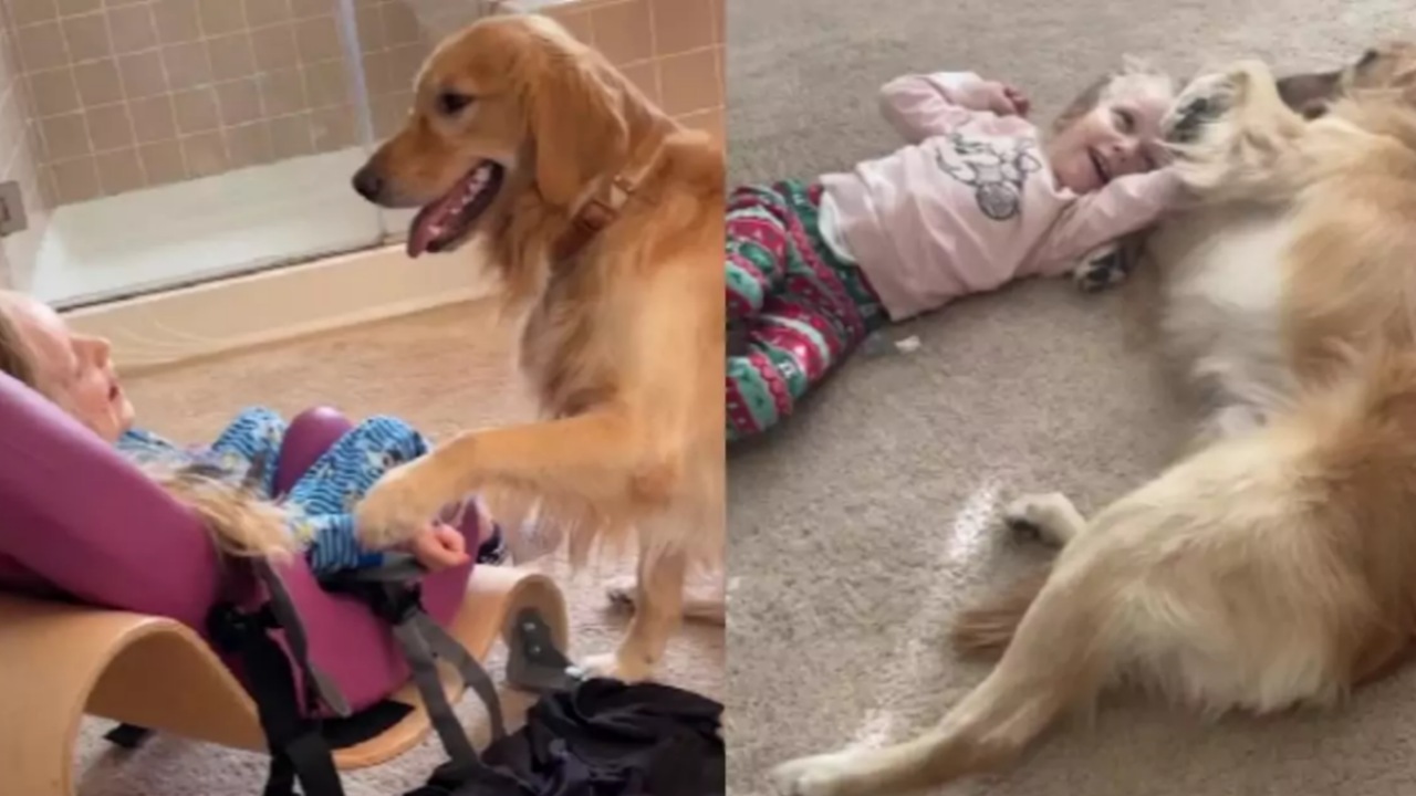 Bambina disabile gioca con il suo cagnolino