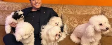 Berlusconi: l'amore per i cani