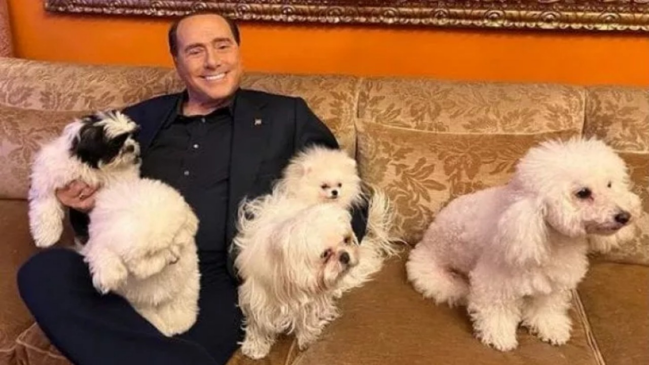 Berlusconi: l'amore per i cani