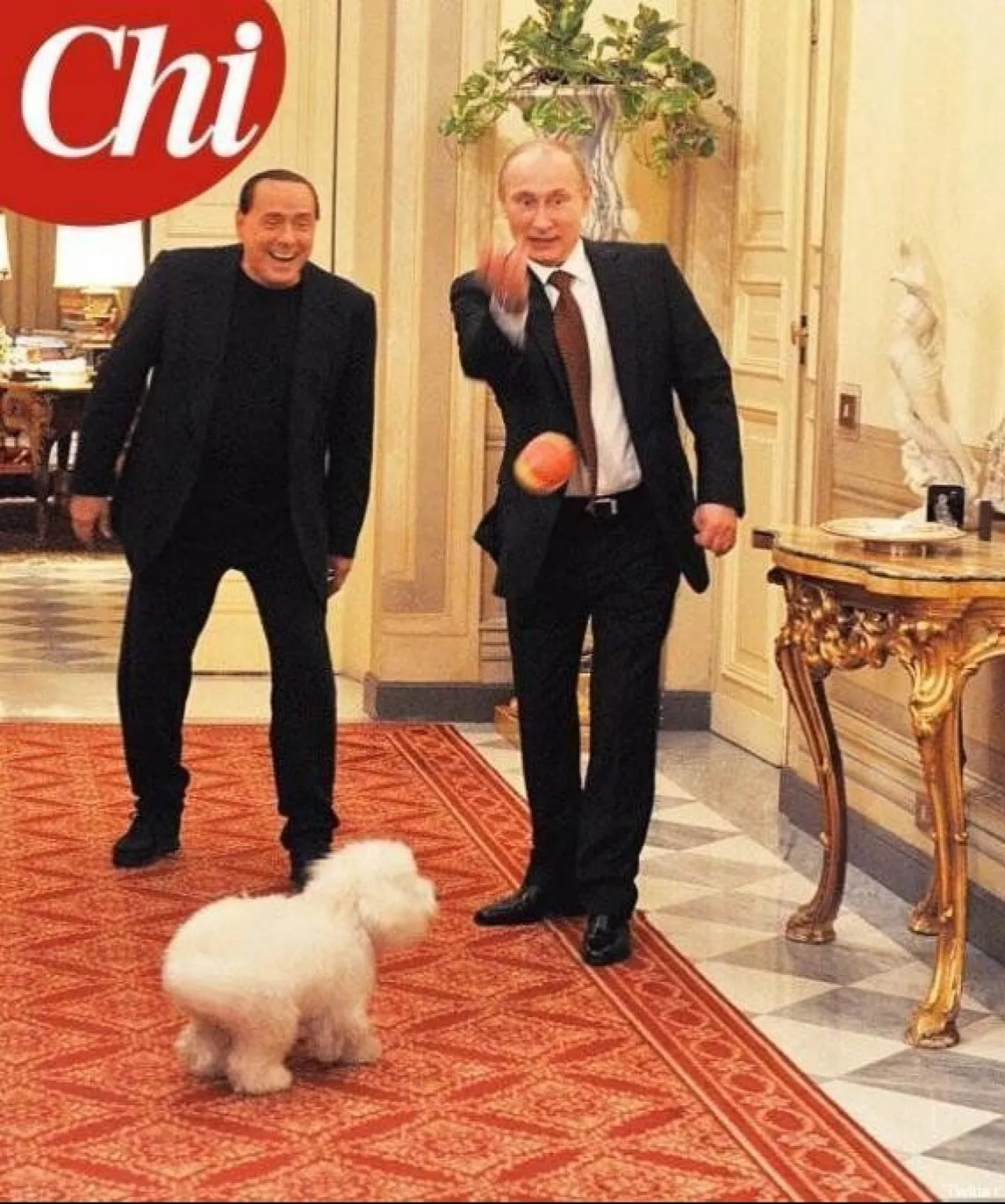 Berlusconi: l'amore per i cani