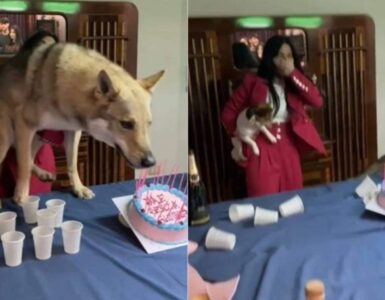 Foto ricordo con la torta di compleanno