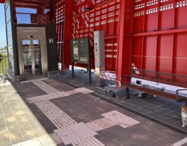 Gatto accompagna alla stazione i suoi proprietari