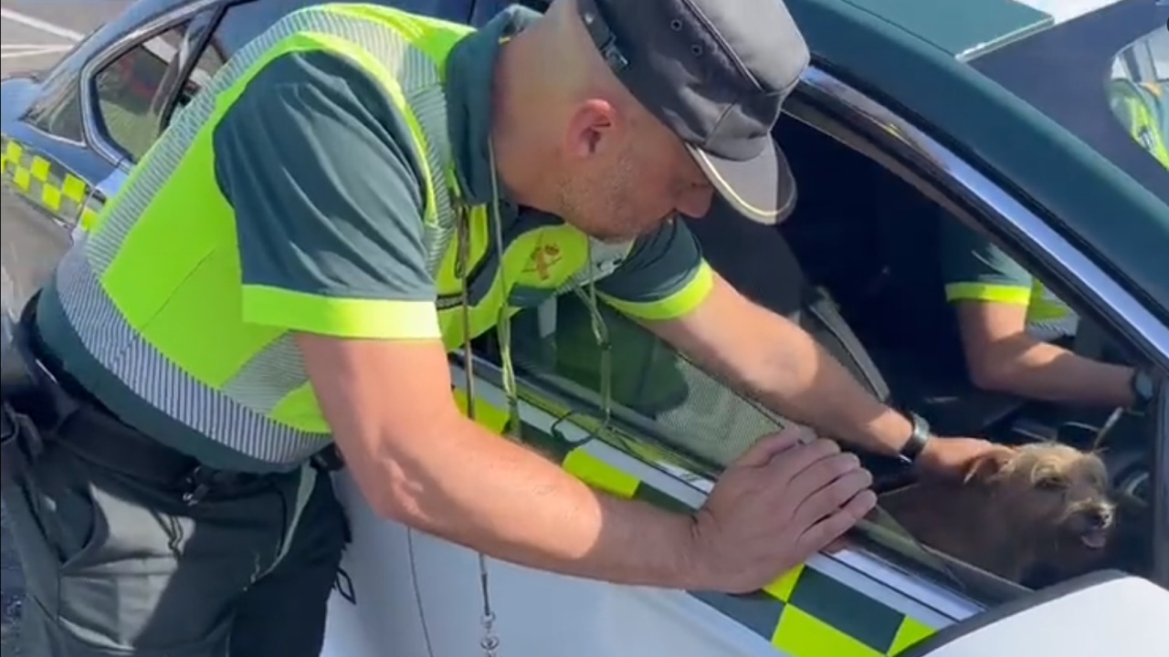 Guardia civile salva una cagnolina