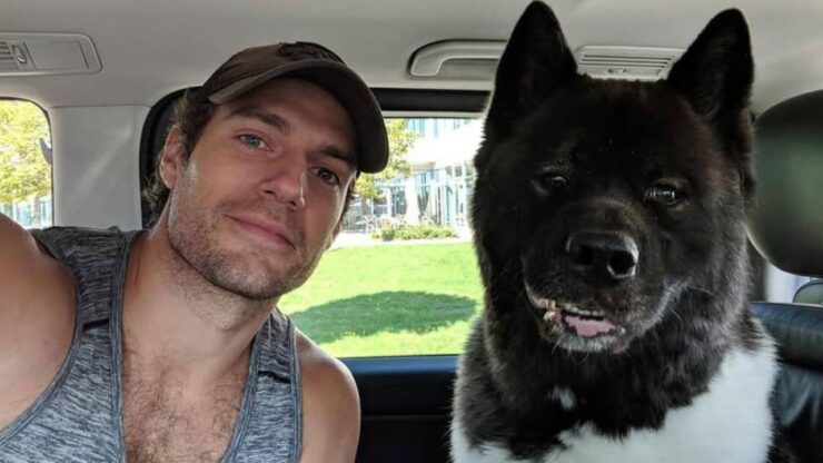 Henry Cavill col suo cane in auto