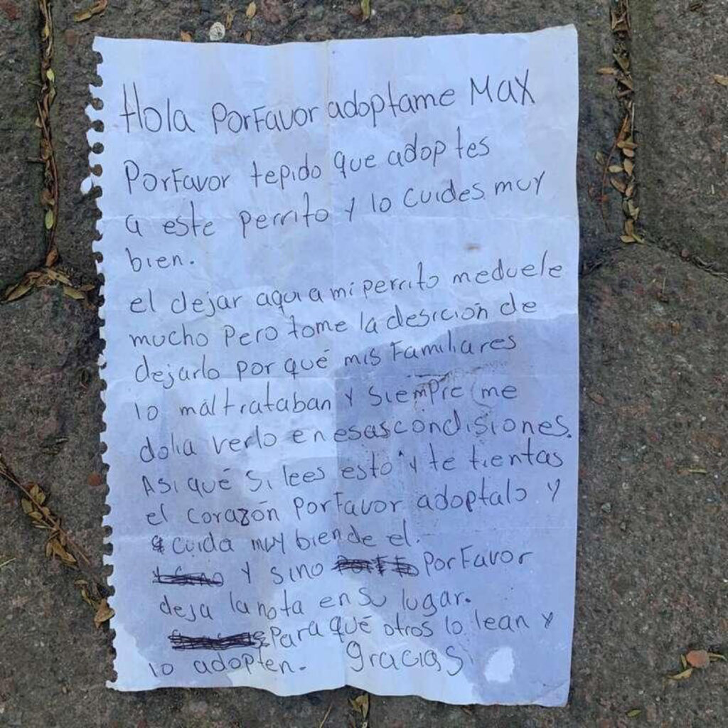 Il cane è stato lasciato con accanto una lettera di richiesta di aiuto.
