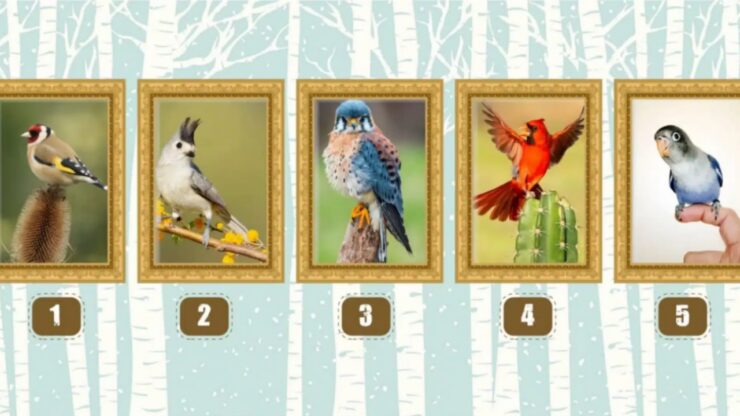 Scegli uno di questi uccelli e scopri la tua personalità