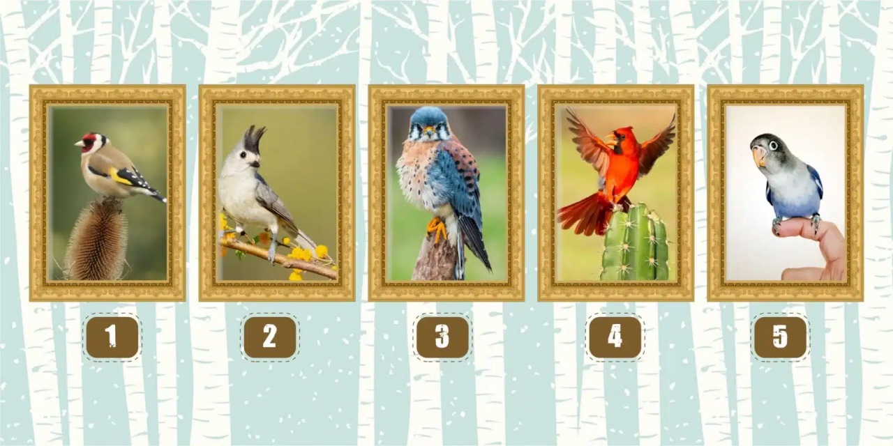 Scegli uno di questi uccelli e scopri la tua personalità