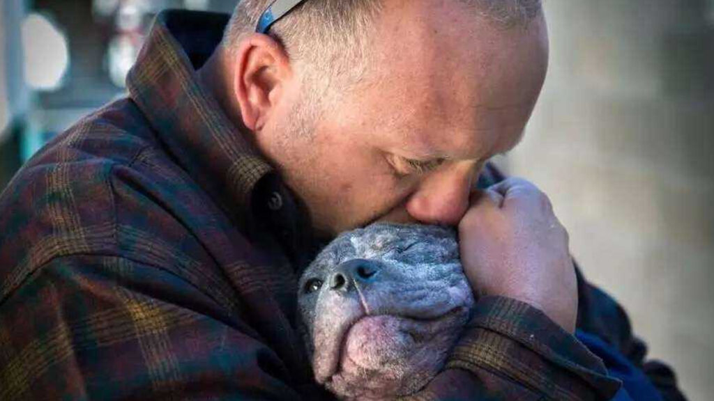 Cagnolina