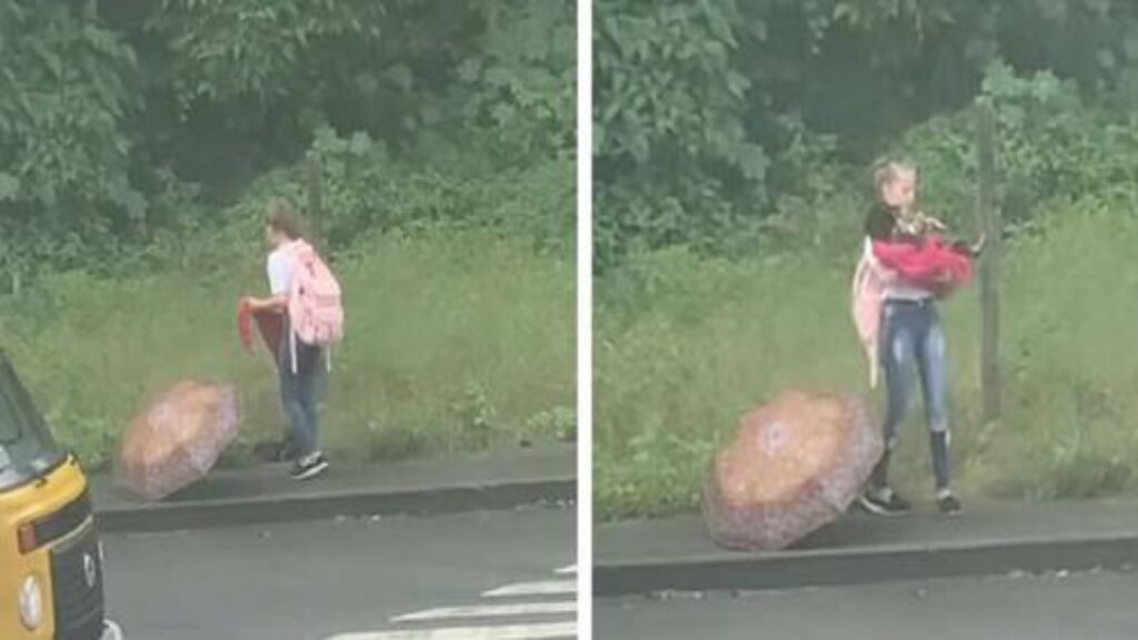 bambina salva cane randagio sotto la pioggia