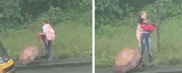 bambina salva cane randagio sotto la pioggia
