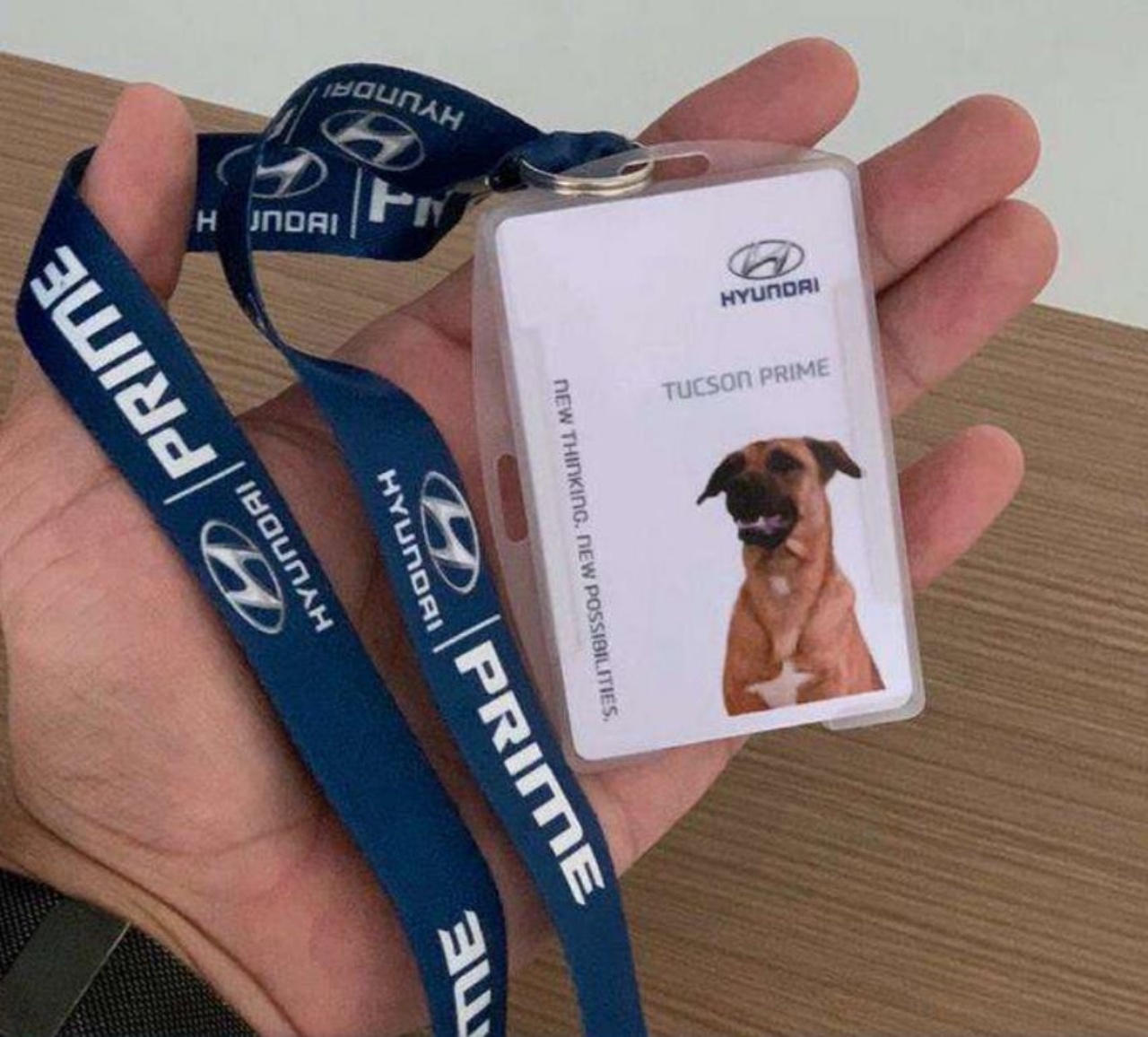 un cartellino con la foto di un cane