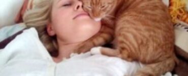 Perché un gatto decide di dormire sul proprio padrone