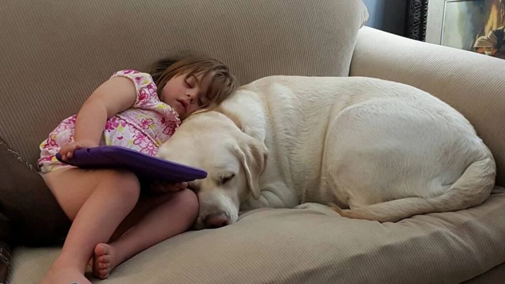 cane protegge la sorellina con il diabete