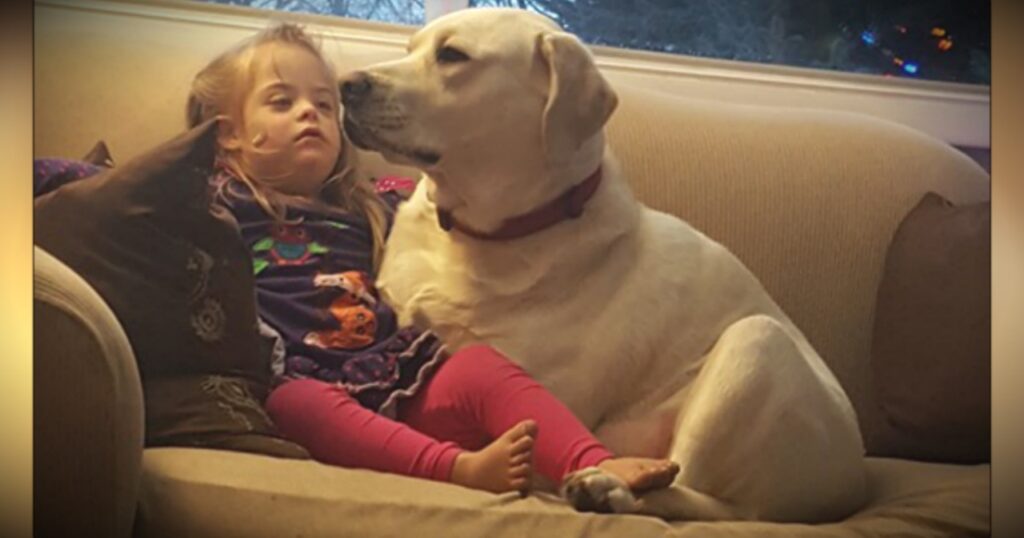 labrador con bambina