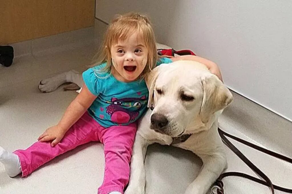 cucciolo di labrador con bambina