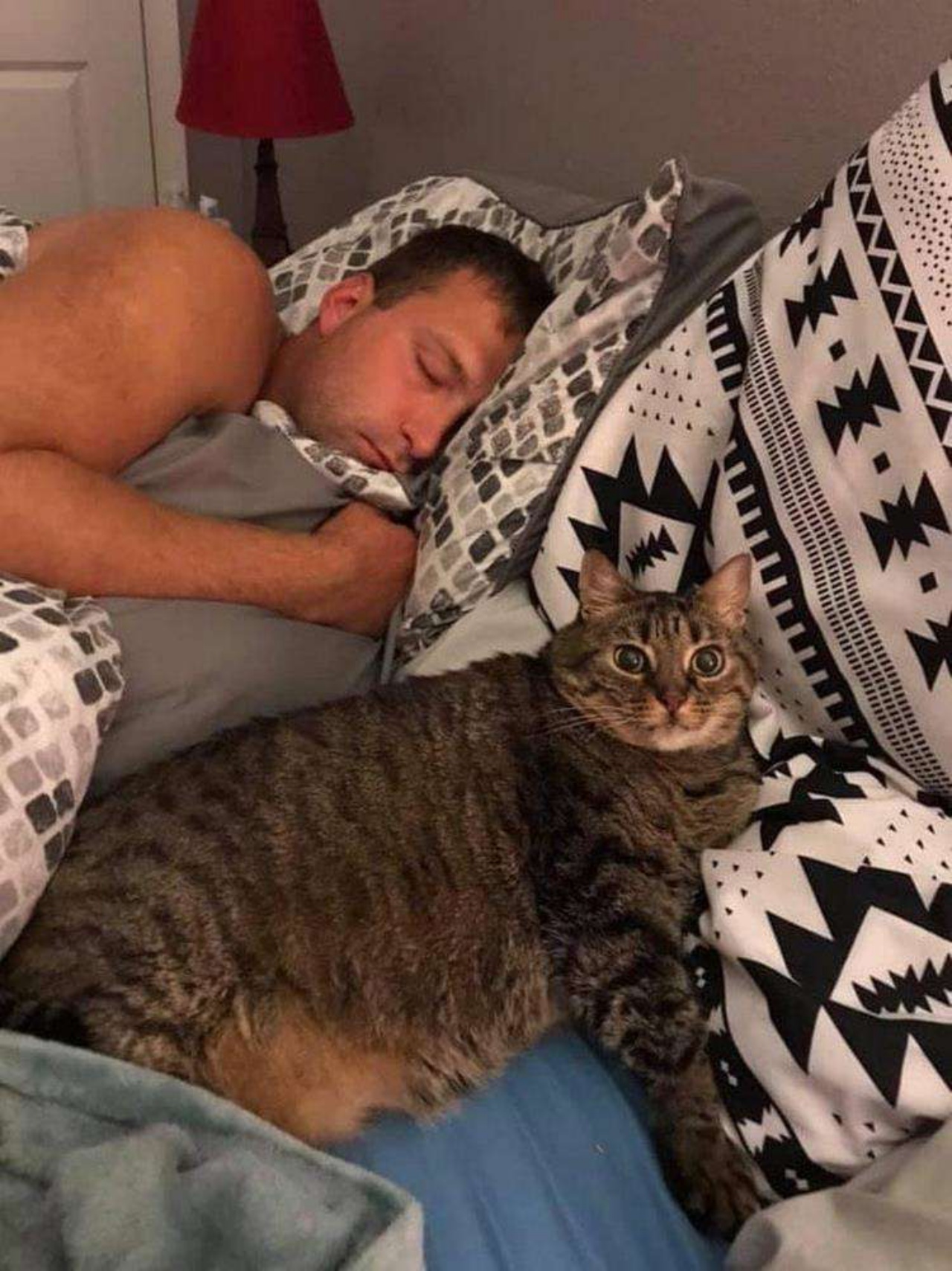 perché dormire con il proprio animale gatto