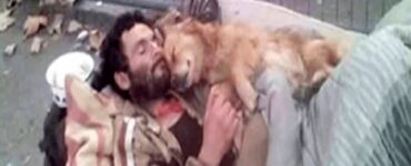 senzatetto dorme con il suo cane abbraccio