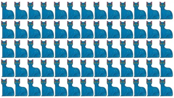 test del gatto intruso blu