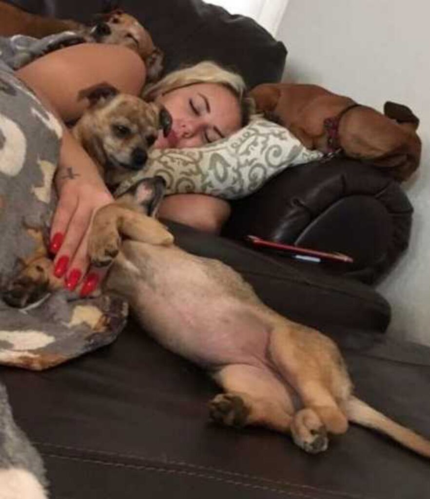 donna salva due cani dall'eutanasia