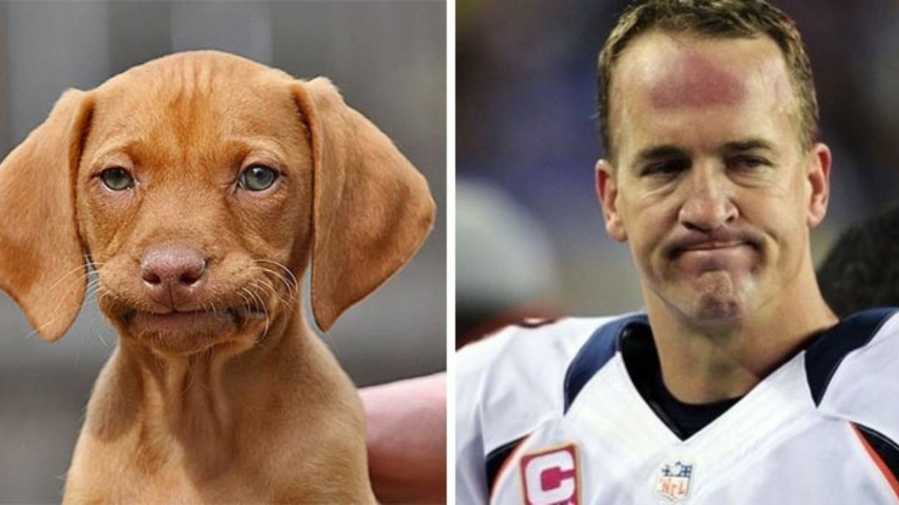 Cane Payton Manning