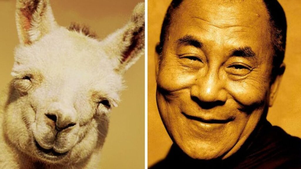 Lama Dalai Lama