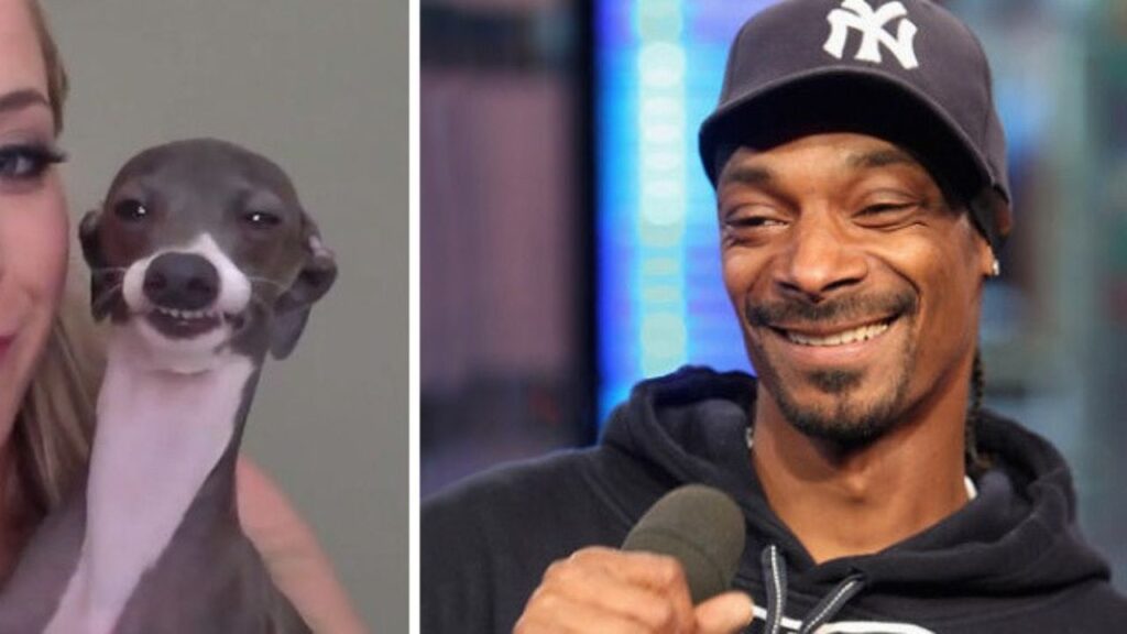 Cane Snoop Dogg