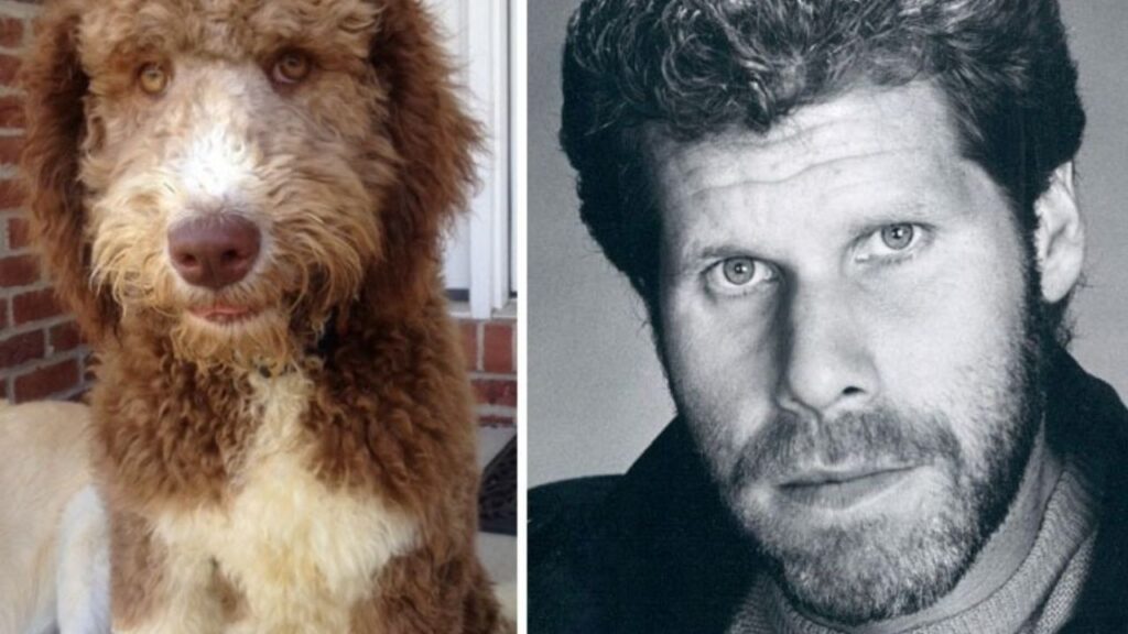 Cane Ron Perlman