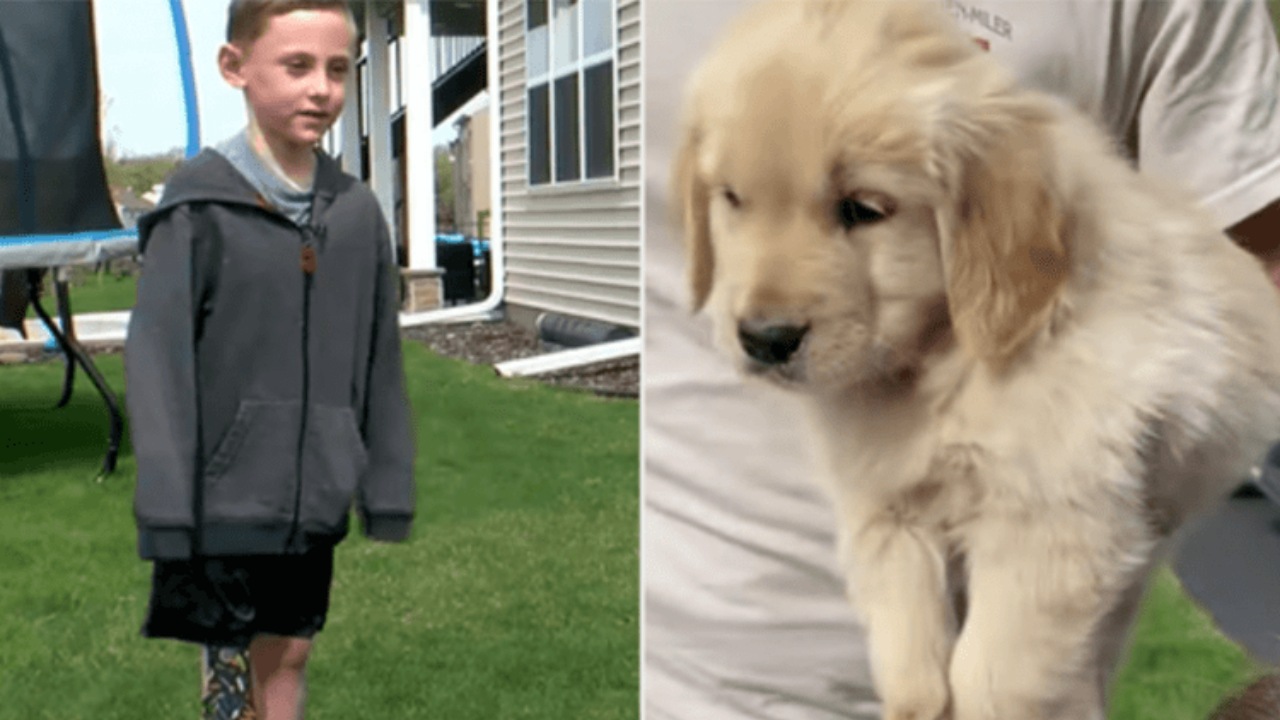 Bambino adotta un cucciolo di Golden Retriever