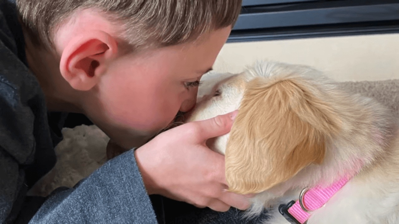 Bambino adotta un cucciolo di Golden Retriever