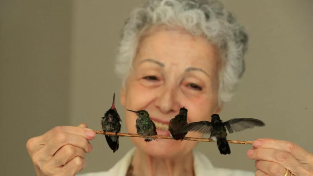 Questa donna si prende cura dei colibrì