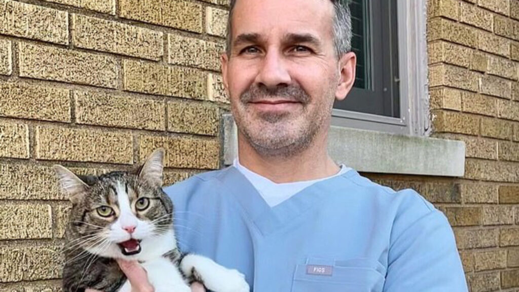 Questo veterinario è virale su TikTok 