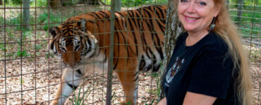 Joe Exotic vs Carole Baskin