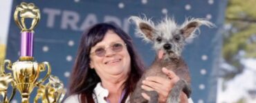 cagnolino vince premio