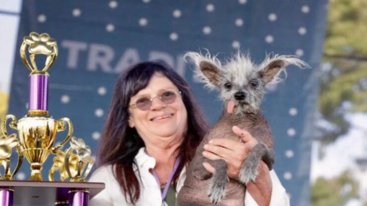 cagnolino vince premio