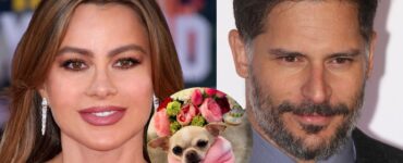 Sofia Vergara e Joe Manganiello si contendono il cane