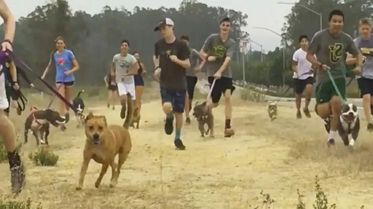 Liceali corrono coi cani