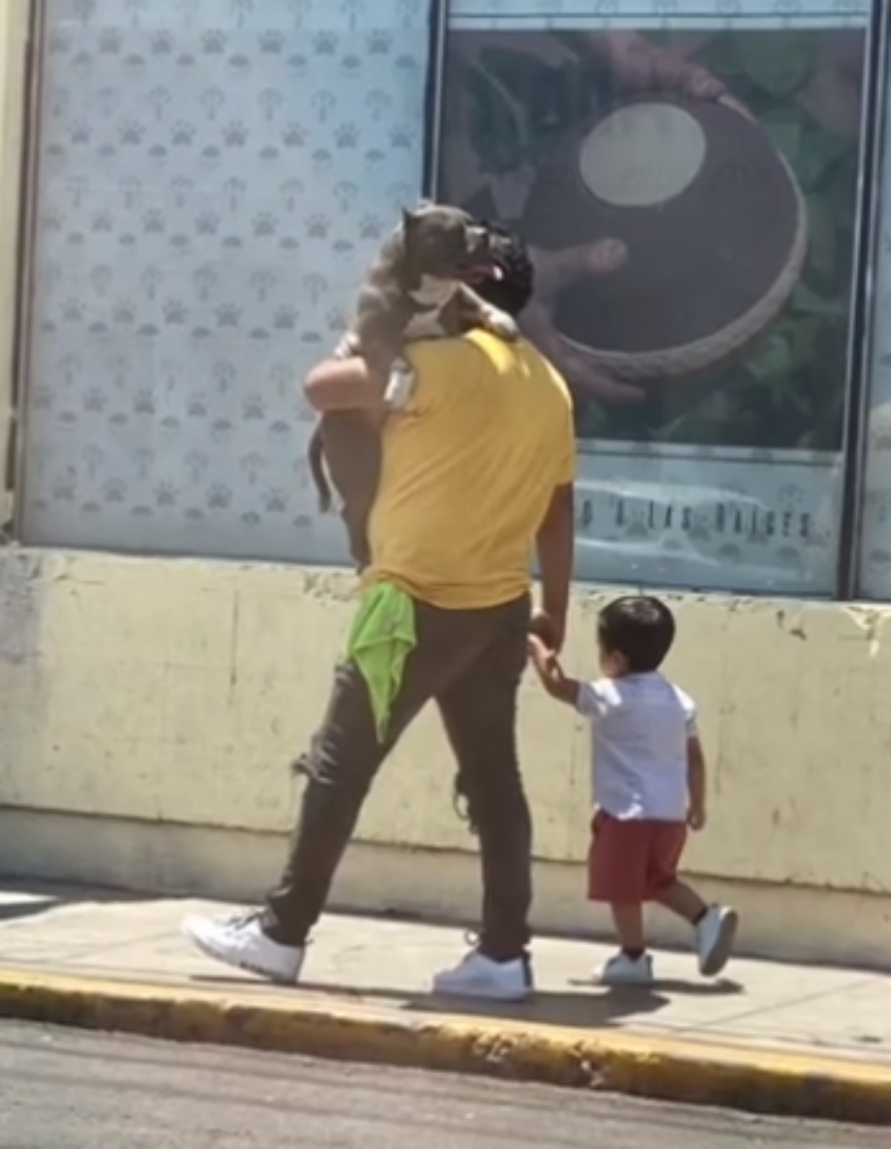 Un uomo ha un Pitbull in braccio ed un bambino per mano