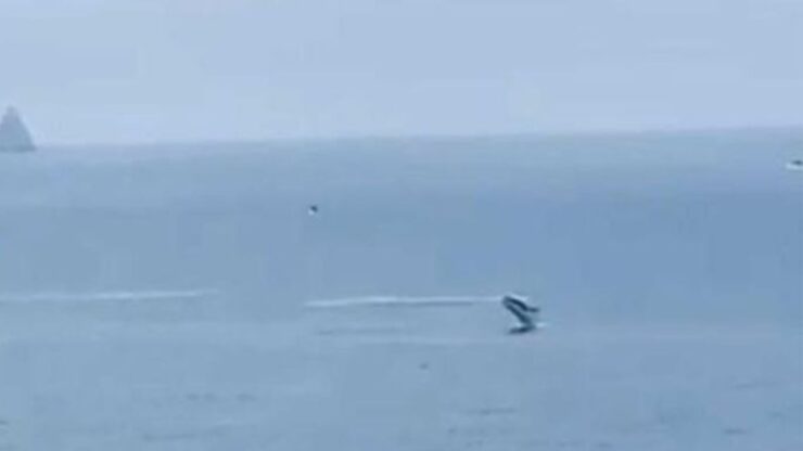una balena in mare